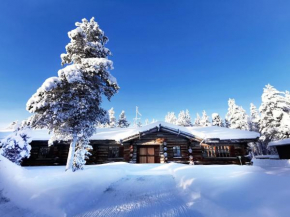 Hotels in Saariselkä